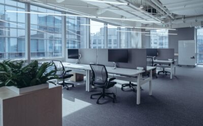 Sun Control Window Film: Savings You Can See 